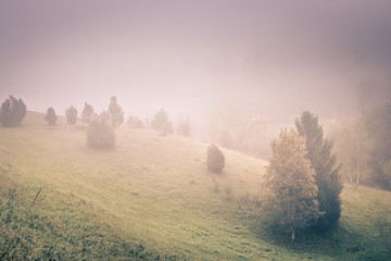 Fototapeta na wymiar Surreal, romantic sunrise at the misty, foggy countryside.