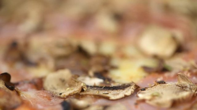 Portion of fresh made Mushroom Pizza in detailed 4K (close-up footage; seamless loopable)