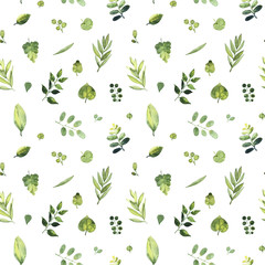 Fototapeta na wymiar Watercolor seamless pattern. Green leaves of different plants on a white background.