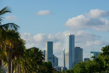 Fototapeta na wymiar USA, Florida, Skyline of Miami with palm trees