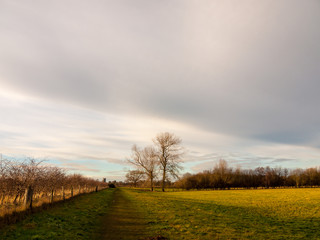 Fototapeta na wymiar country landscape empty open space tree line sky