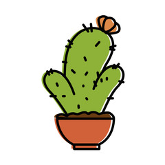 pot with desert plant