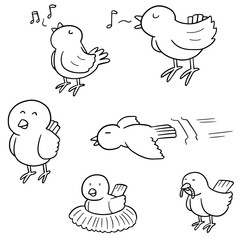 vector set of birds