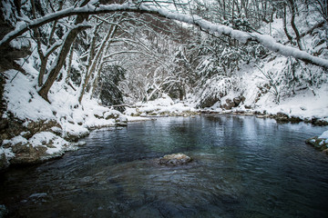 Winter landscape with the wood river. Russian winter