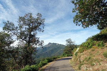 Fototapeta na wymiar Route de Castagniccia en Haute Corse