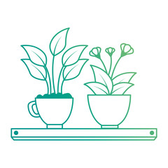 house plants with pots in shelf