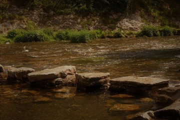 Dovedale Stepping Stones