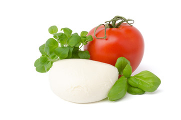 Mozzarella, Basilikum, Tomate, Oregano, weißer Hintergrund