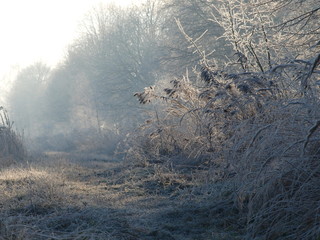 OLYMPUS DIGITAL CAMERA © ayland