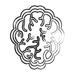 brain organ icon