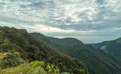 Obraz premium Mountains Landscape cloud forest. Worlds End in Horton Plains National Park Sri Lanka.