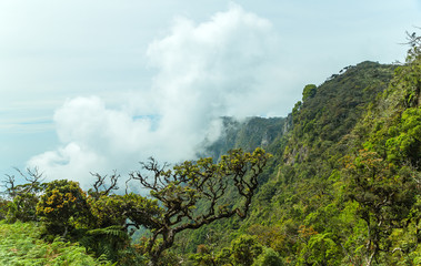 Horton Plains National Park highlands of Sri Lanka and is covered by montane grassland and cloud forest. Ceylon, Asia.