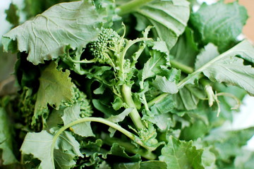 Fresh turnip tops from the garden