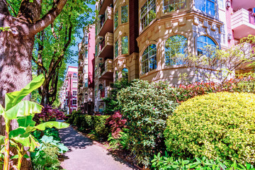 a pedestrian walkway in the city, near multi-storey houses with bushes of greenery and trees along the edges
