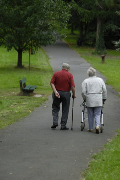 Gebrechlich Bilder Durchsuchen 909 Archivfotos, und