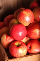Bunch of Apples