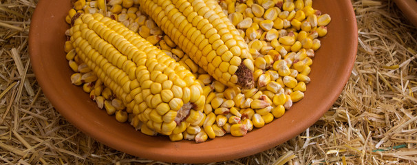 Andean corn