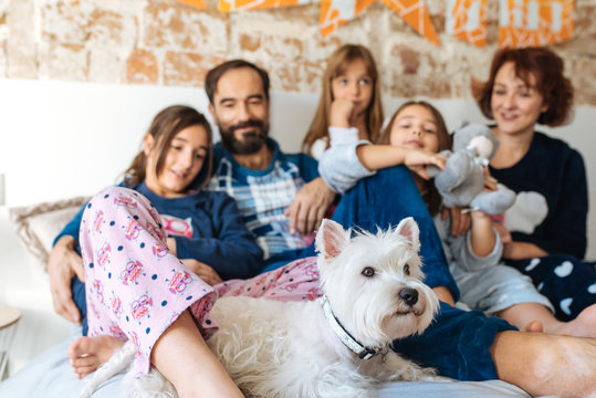 Mature couple relaxed at home in bed with their four little daughters and the Dog.