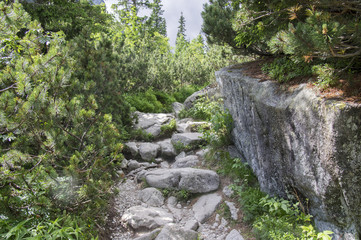 Mala studena dolina hiking trail in High Tatras, summer touristic season, wild nature, touristic trail © Iva