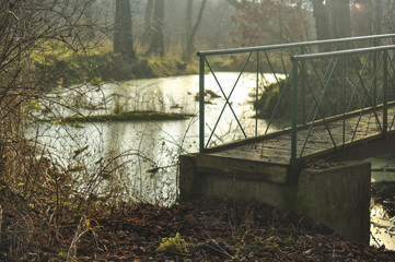 Pomost nad wodą  w parku © Grzegorz Polak