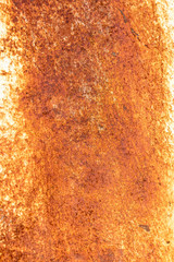 Orange rust