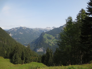 Fototapeta na wymiar verano en las montanas suizas