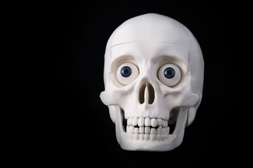 skeleton, human skull on a black background. close-up