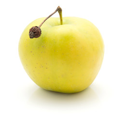 One apple (Smeralda variety) with stem isolated on white background green yellow.
