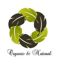 Organic leafs forming a circular shape icon