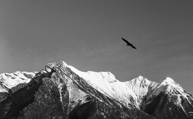 Alta Montagna