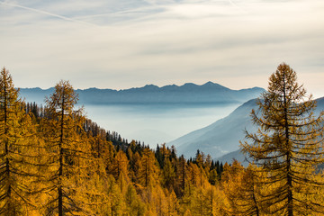 Dolomiti