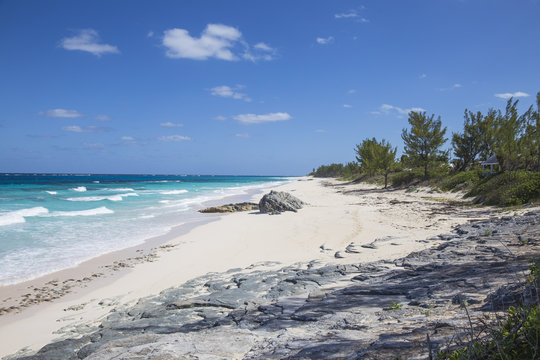 Beach near Nippers Bar, Great Guana Cay, Abaco Islands, Bahamas