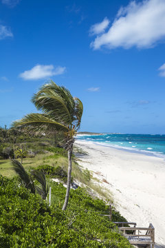 Beach near Nippers Bar, Great Guana Cay, Abaco Islands, Bahamas