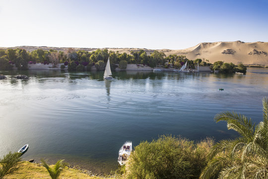 View of River Nile and the Botanical Gardens on Kitchener Island, Aswan, Upper Egypt, Egypt