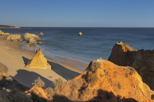 Praia da Rocha beach, Atlantic Ocean, Portimao, Algarve, Portugal