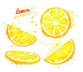Watercolor set of sliced lemon