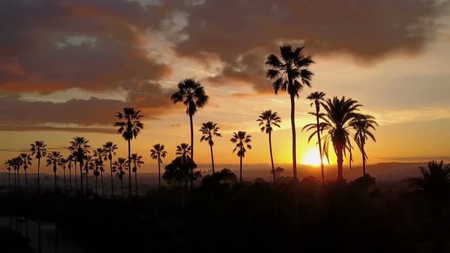Silhouette of palm trees and a beautiful sunset.