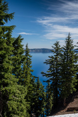 Blue Waters of Crater Lake Peeking Through Pine Trees