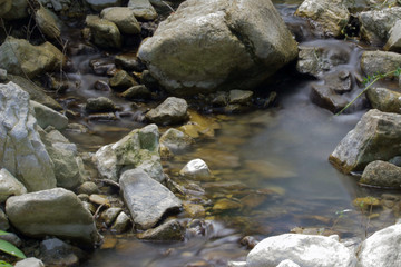 Fototapeta na wymiar water river nature