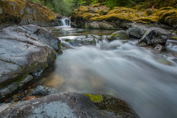 Fototapeta na wymiar Brice Creek Flows Over Rocks in Early Summer