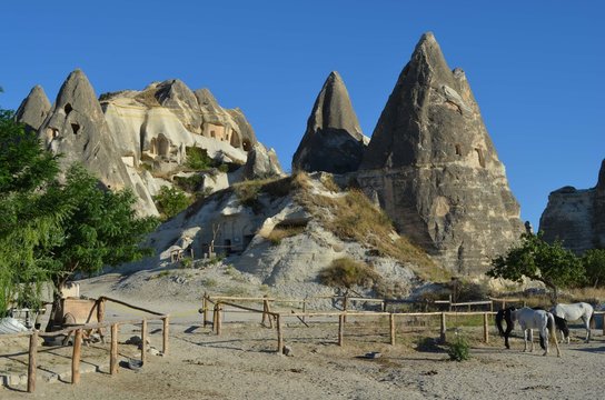 Kapadokya'nın Atları - G&ouml;reme