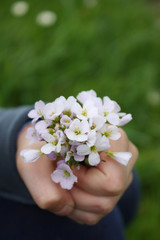 little girl's hand with flowers