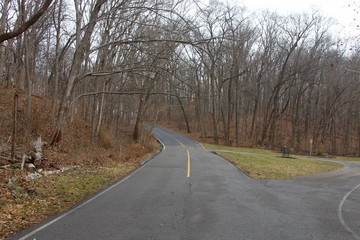 Obraz premium The empty road in to the winter forest on a cloudy day.