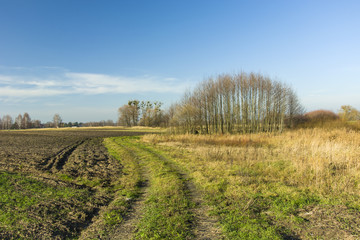Fototapeta na wymiar Winding road through fields and meadows, copse and blue sky