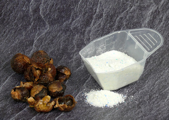indische waschnüsse kontra waschpulver