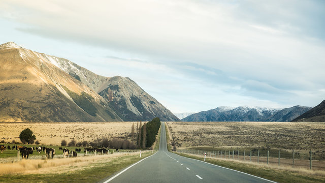 Straight Road heading toward Mountains New Zealand