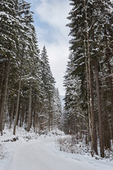Winter landscape with the road