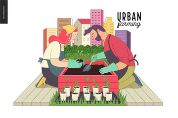 Urban farming, gardening or agriculture. A man and a woman planting out the sprouts to the wooden package bed with a city tower buildings on the background