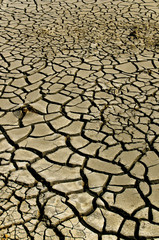 Aridity, dry and cracked ground.Surface of land without water. Abstract background. World water day.