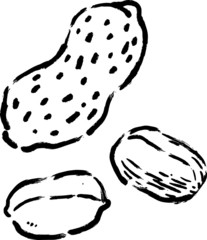 落花生モノクロ